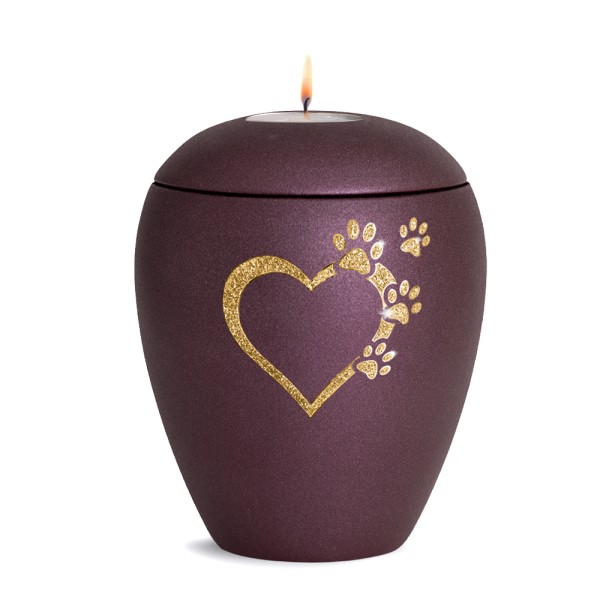 Velv in glossy berry mit Herz-Pfote-Applikation - Gedenklicht